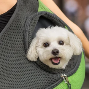 Sac bandoulière de transport pour petits animaux – Confort et sécurité en balade